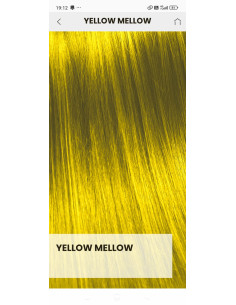 Pigment de par Yellow Mellow